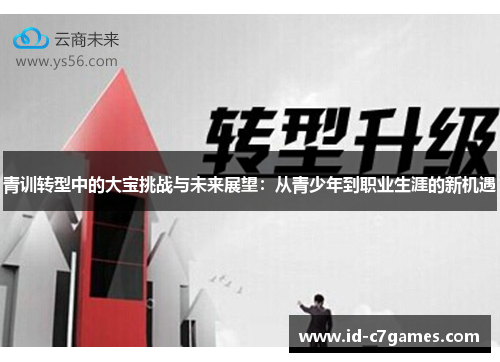 青训转型中的大宝挑战与未来展望：从青少年到职业生涯的新机遇